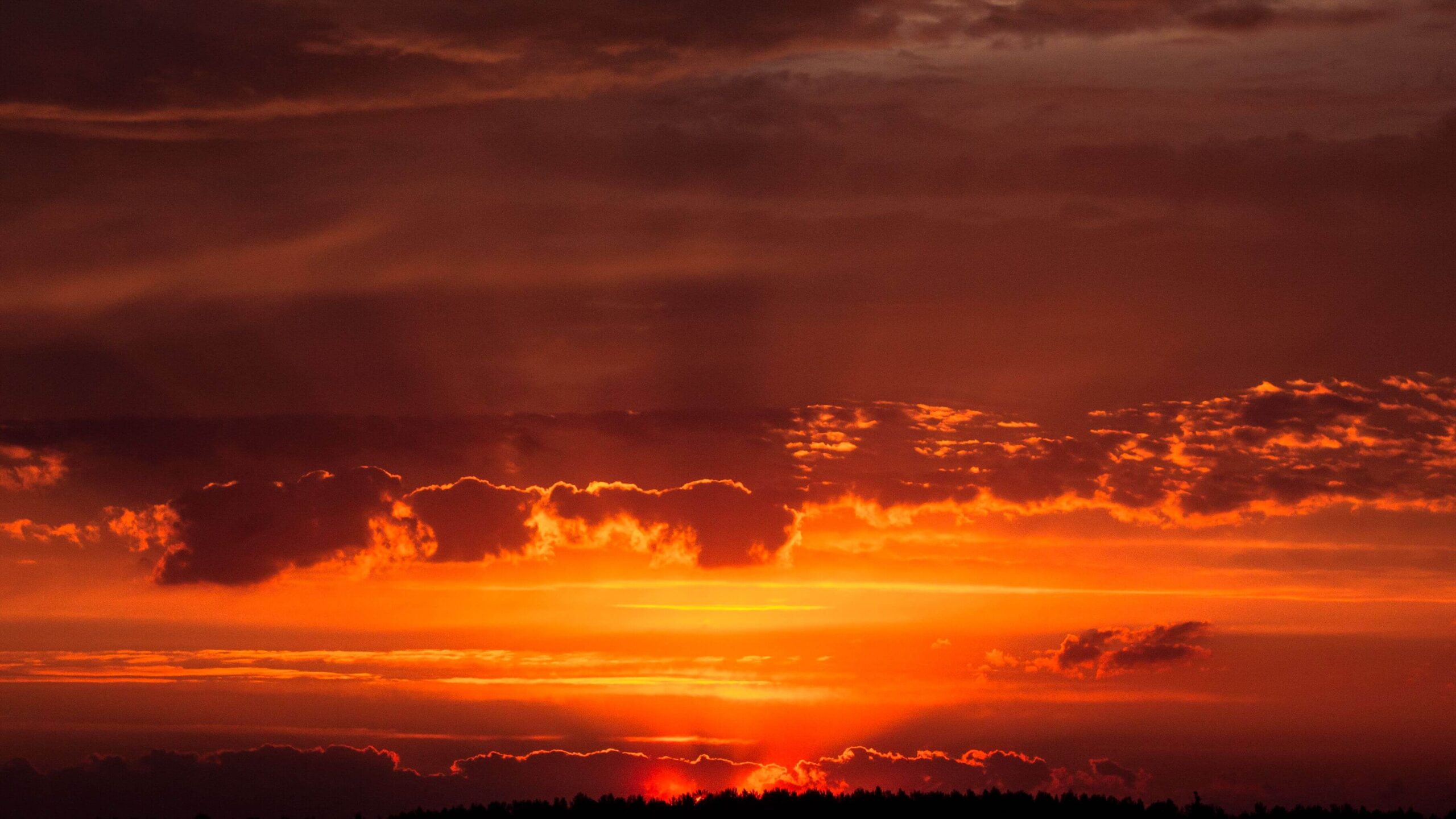 Rise and Shine: A 6-Week Approach to Better Circadian Health and Nervous System Regulation